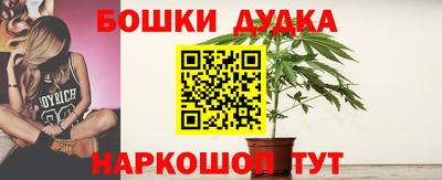 стаф Обнинск
