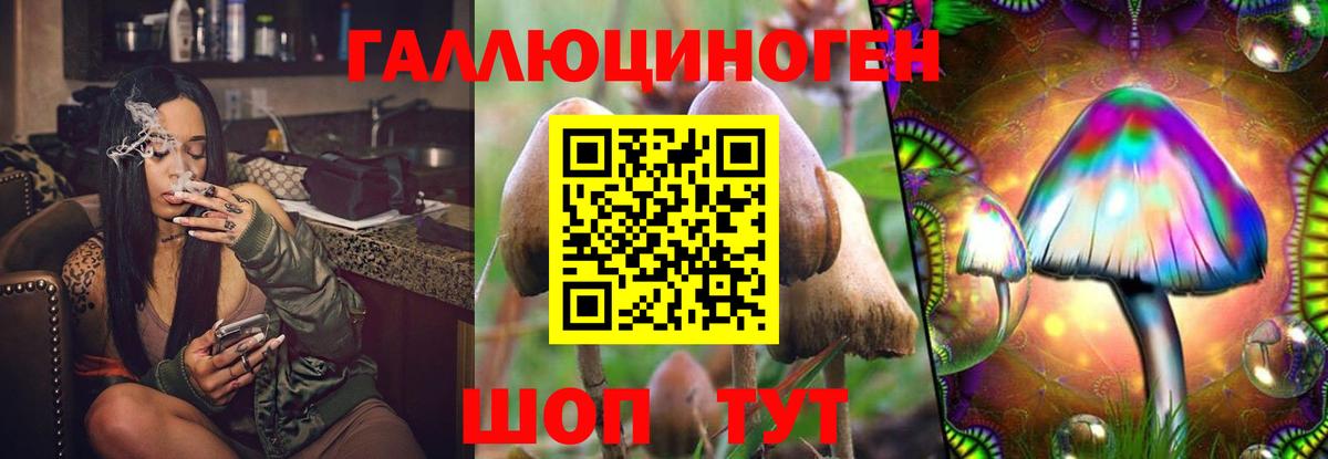 Псилоцибиновые грибы MAGIC MUSHROOMS Саратов