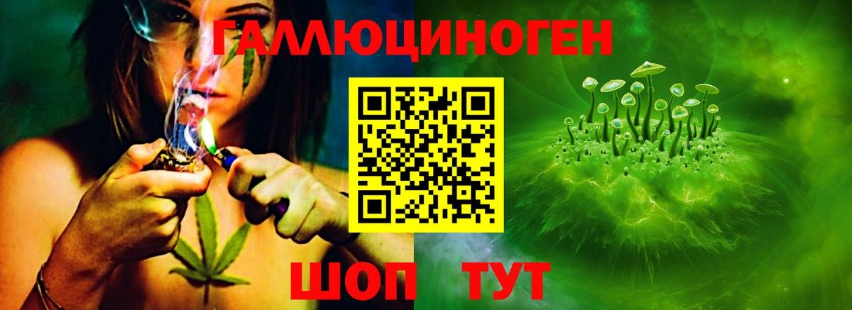 Саратов  Галлюциногенные грибы прущие грибы  Вход с VPN 